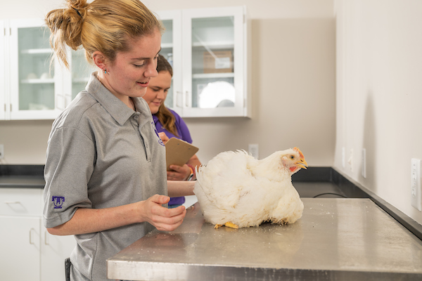 Poultry Research