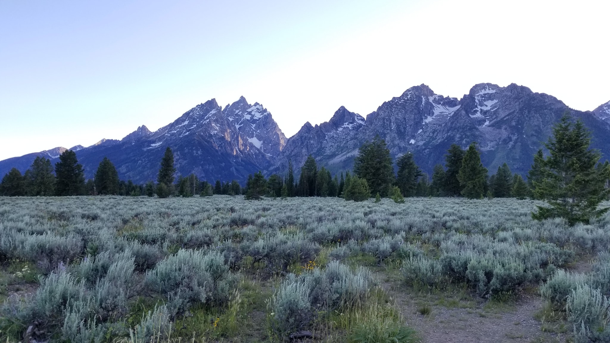 a wide view of a mountain range, with trees and rugged grass below them