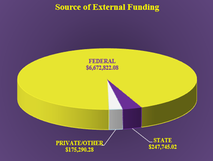 CESR types of funding showing mostly Federal funding.