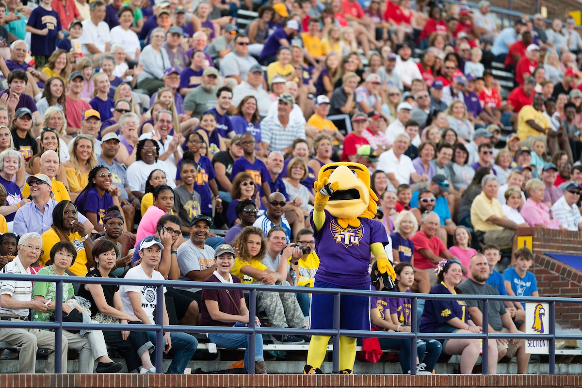 A crowd of onlookers at a football game